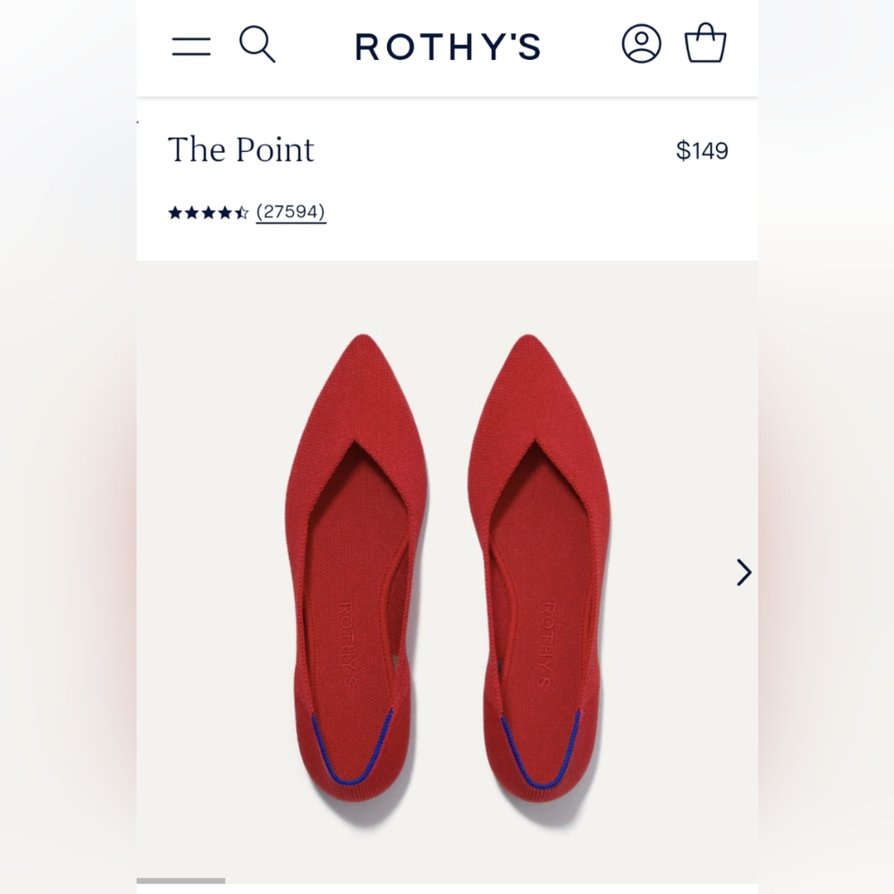 Rothy's point flat shoe